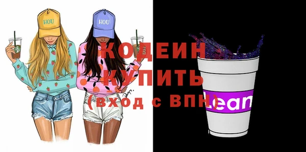 гашик Дмитриев