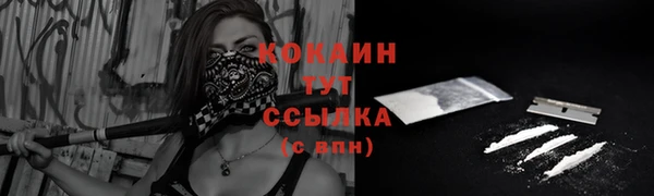 гашик Дмитриев