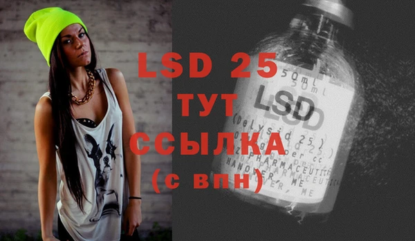 гашик Дмитриев