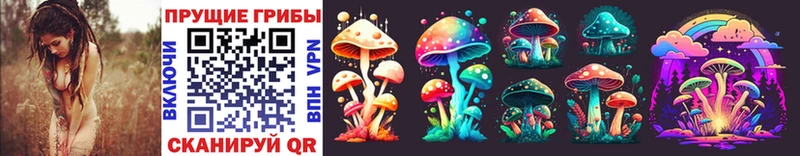 Псилоцибиновые грибы Psilocybe  дарнет шоп  Ставрополь 