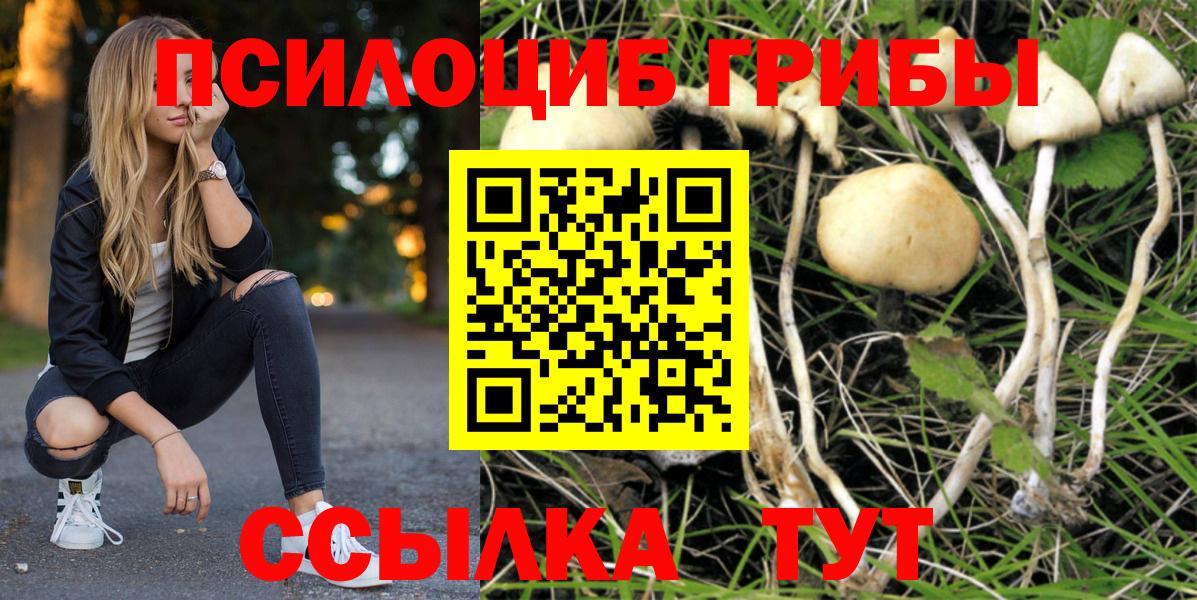 Псилоцибиновые грибы MAGIC MUSHROOMS  Вход с VPN  Ставрополь  Псилоцибиновые грибы GOLDEN TEACHER 